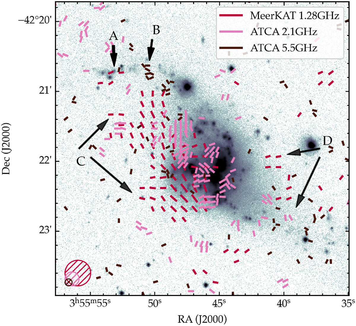 Fig. 11. Refer to the following caption and surrounding text.