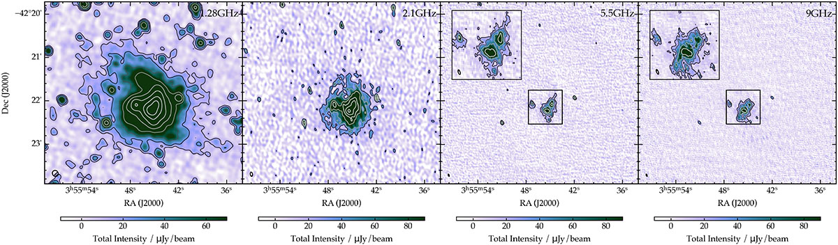 Fig. 2. Refer to the following caption and surrounding text.
