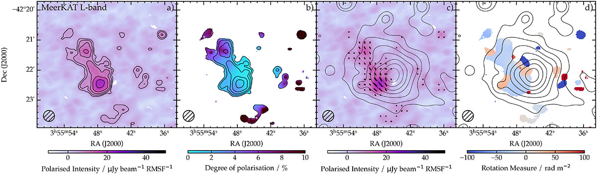 Fig. 7. Refer to the following caption and surrounding text.