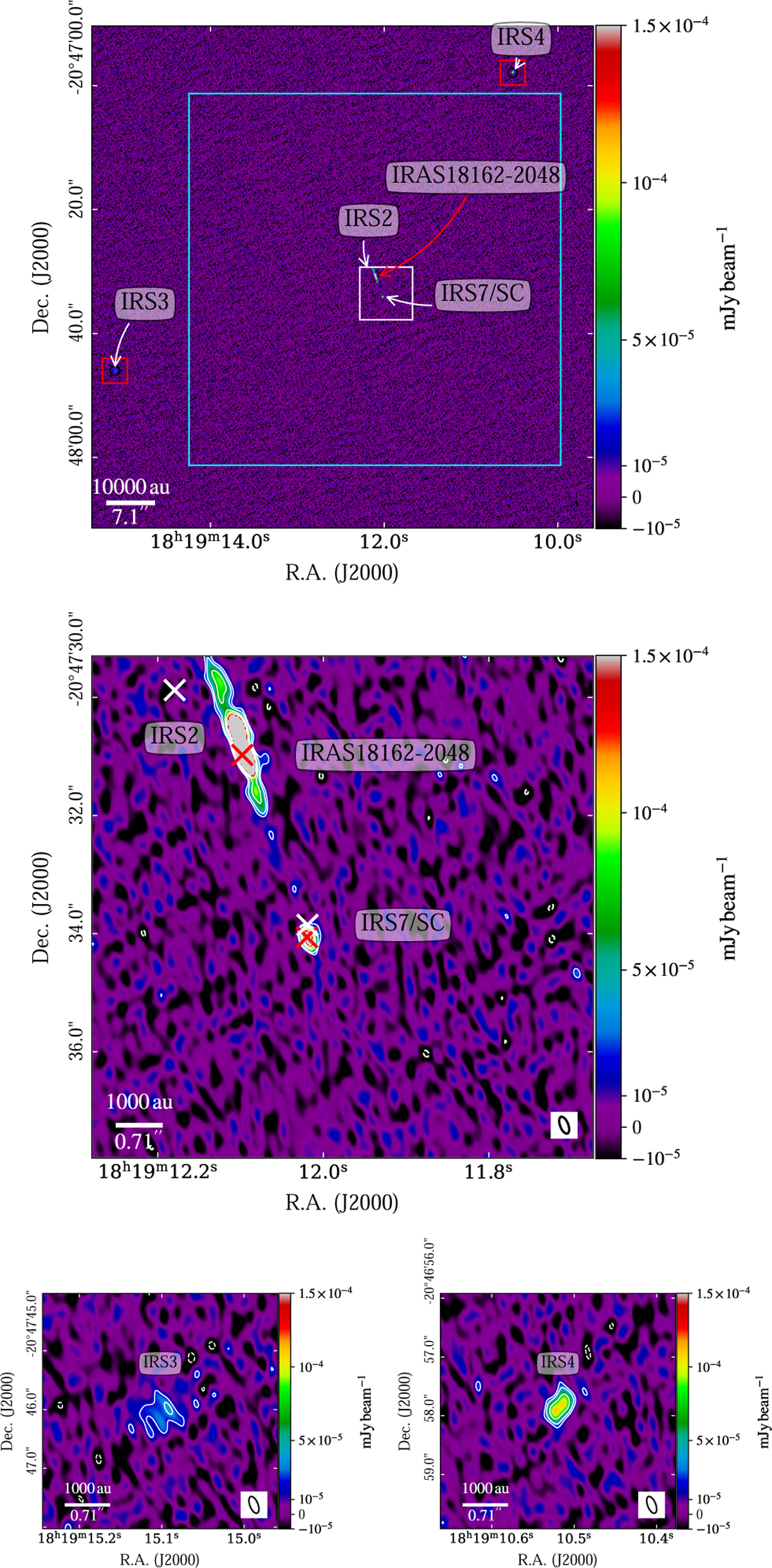 Fig. 6 Refer to the following caption and surrounding text.
