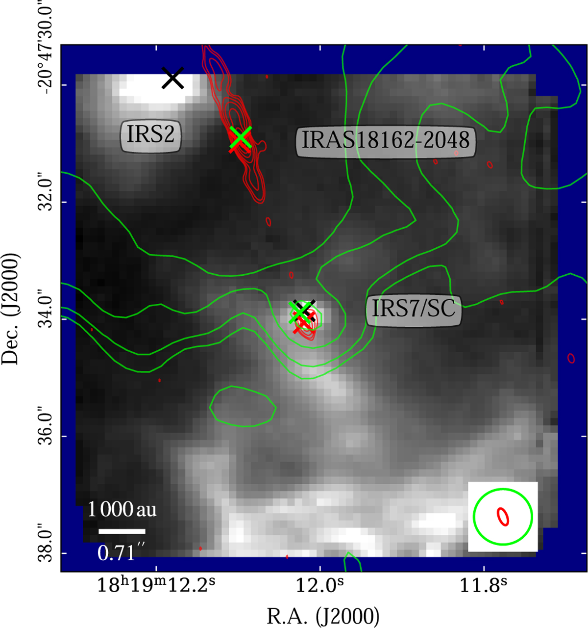 Fig. 8 Refer to the following caption and surrounding text.