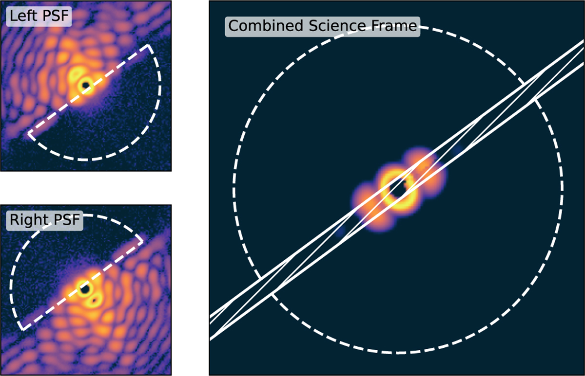 Fig. 3 Refer to the following caption and surrounding text.