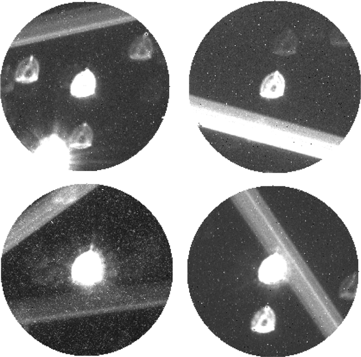 Fig. 1 Refer to the following caption and surrounding text.