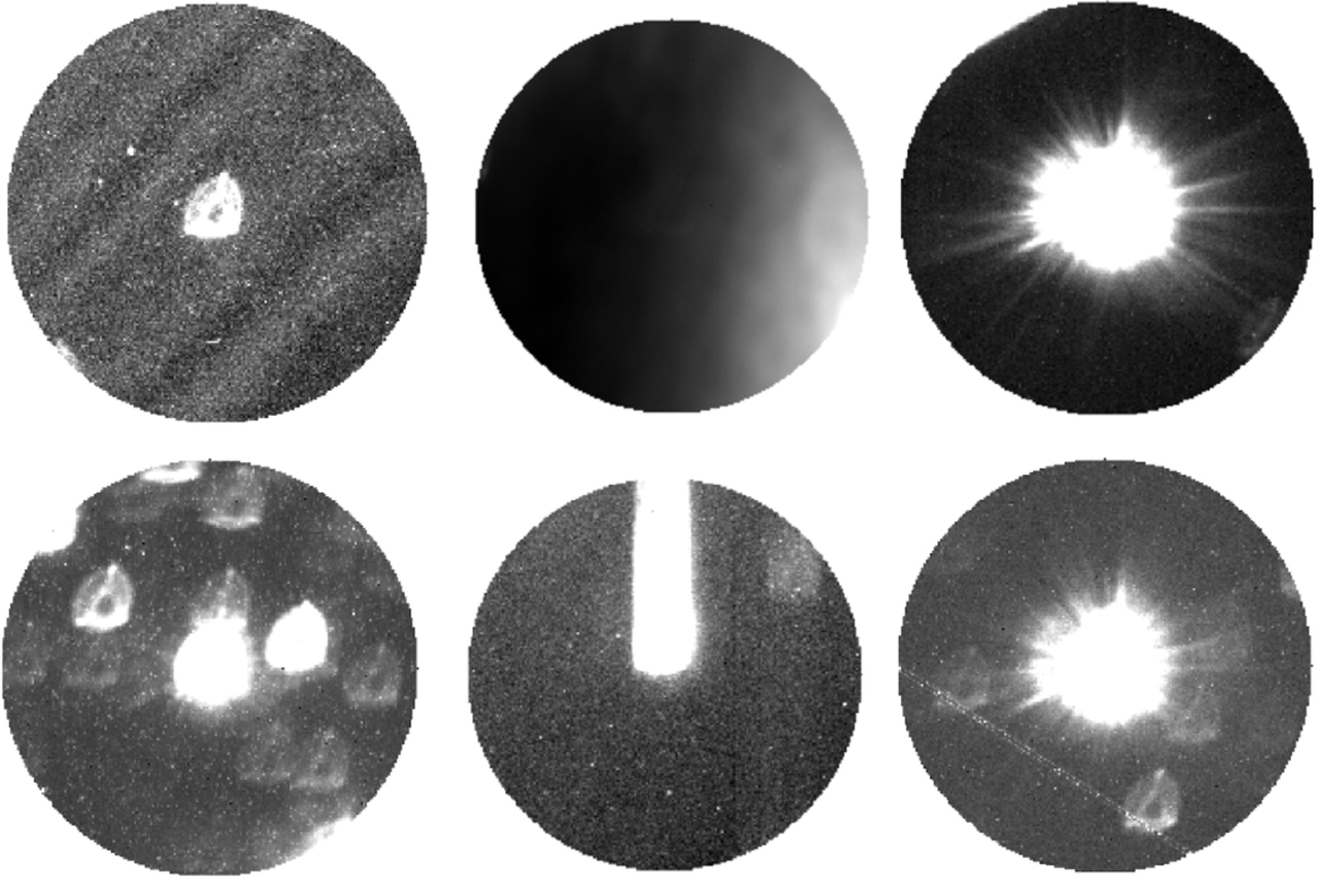 Fig. 2 Refer to the following caption and surrounding text.