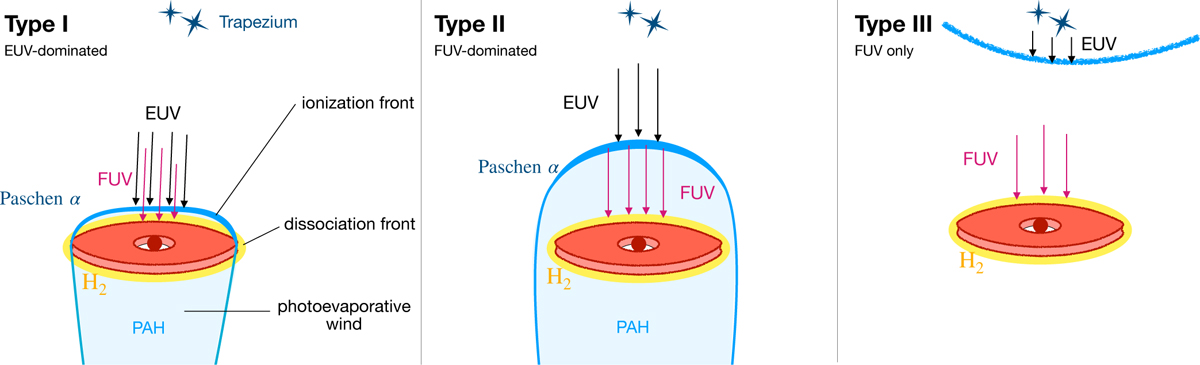 Fig. 5 Refer to the following caption and surrounding text.