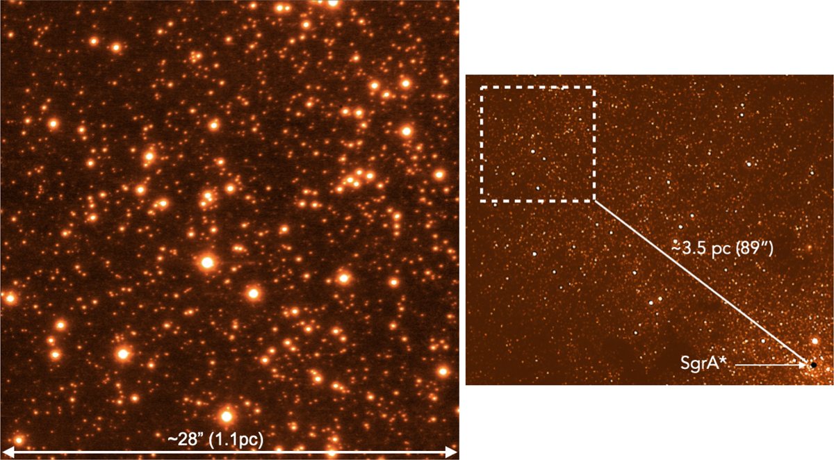 Fig. 1 Refer to the following caption and surrounding text.