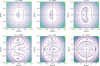 Thumbnail: Fig. 1 Refer to the following caption and surrounding text.