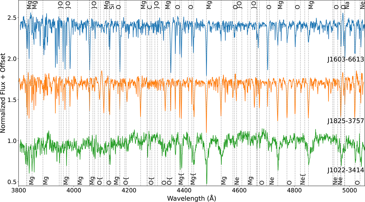 Fig. 1. Refer to the following caption and surrounding text.