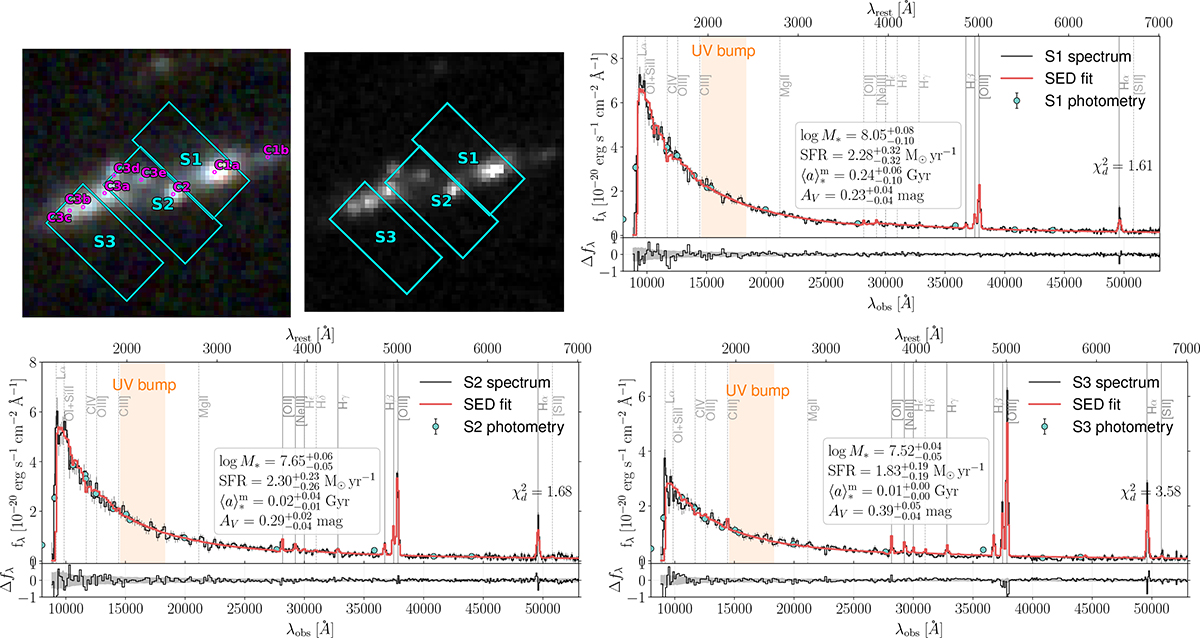 Fig. 1. Refer to the following caption and surrounding text.