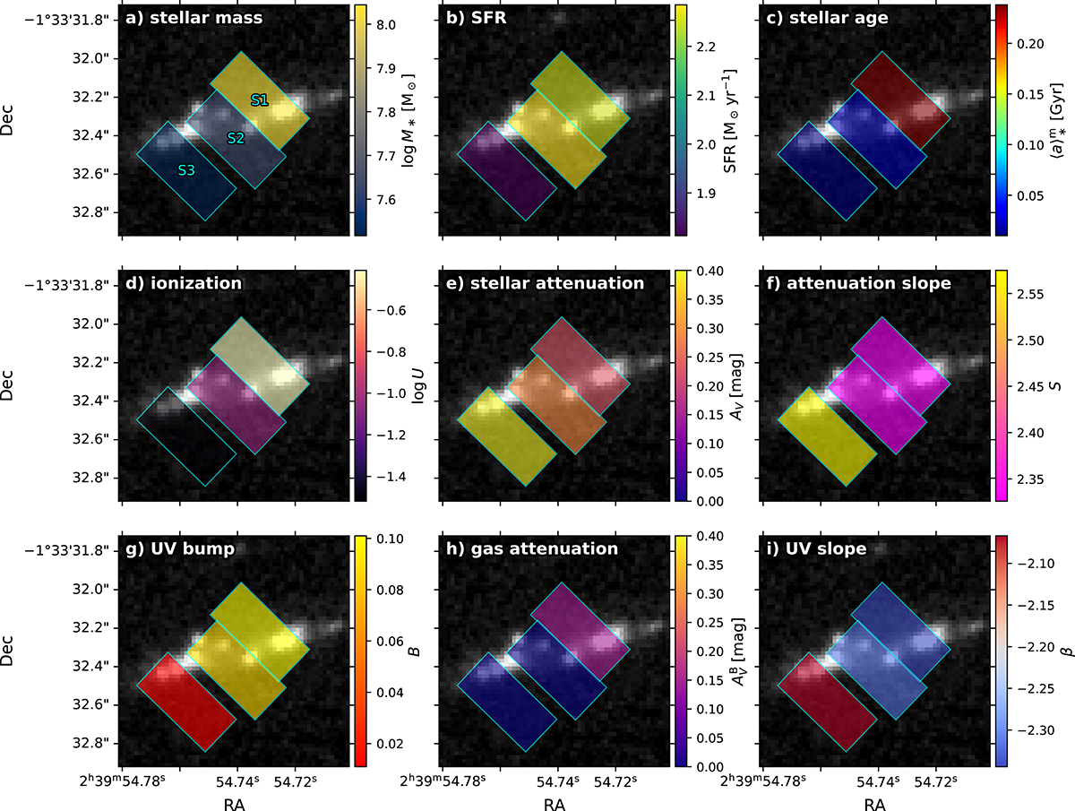 Fig. 3. Refer to the following caption and surrounding text.