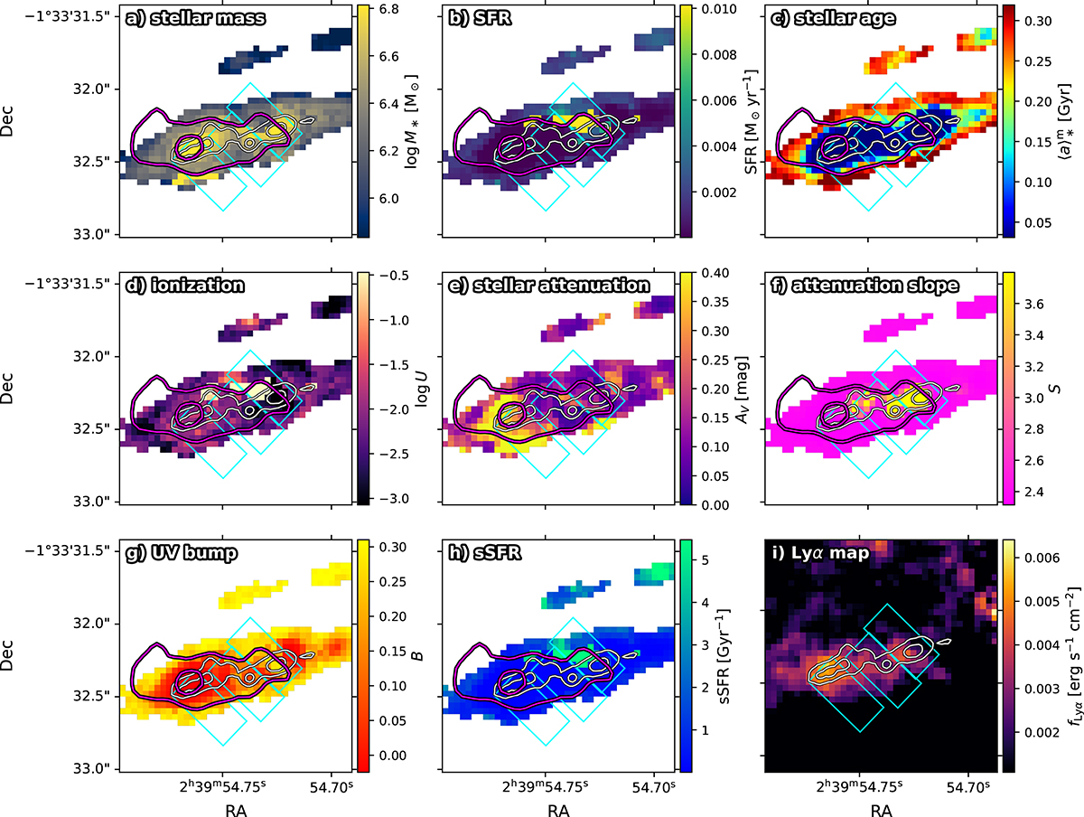 Fig. 4. Refer to the following caption and surrounding text.