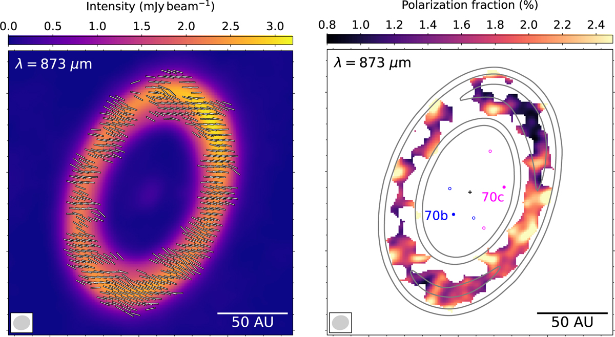 Fig. 1 Refer to the following caption and surrounding text.