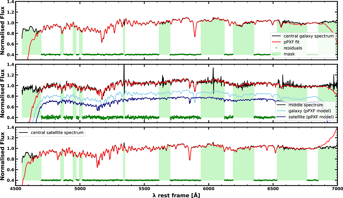 Fig. 3. Refer to the following caption and surrounding text.