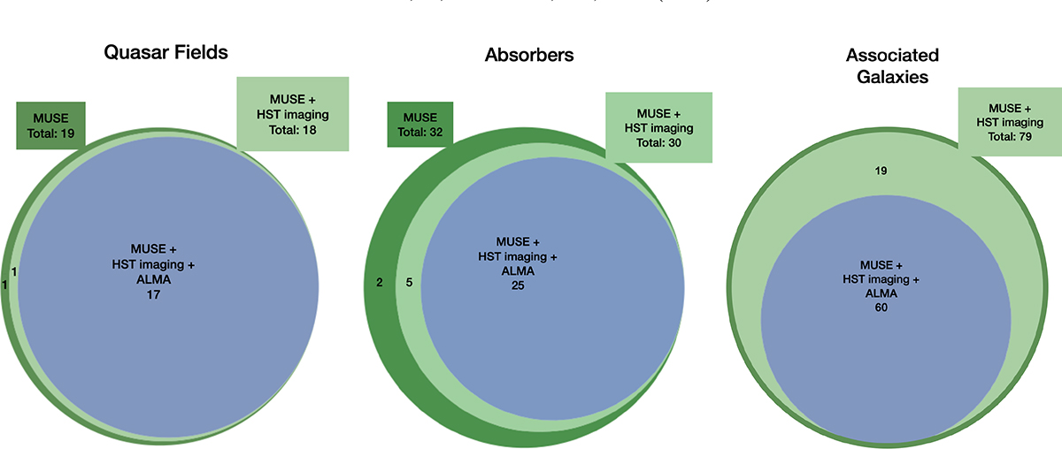 Fig. 2. Refer to the following caption and surrounding text.