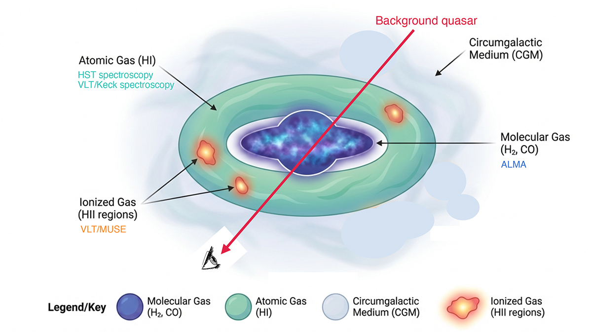 Fig. 3. Refer to the following caption and surrounding text.