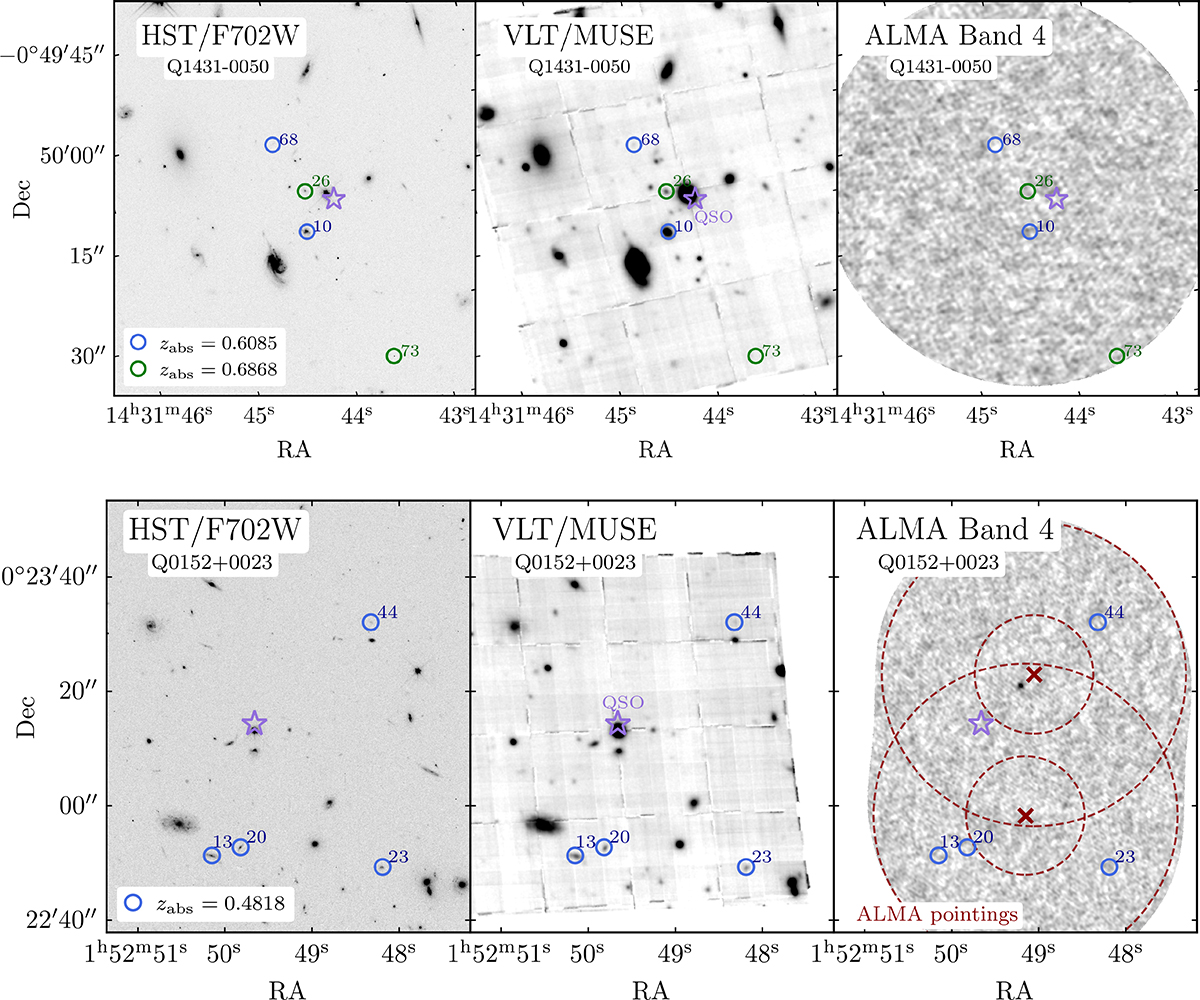 Fig. 6. Refer to the following caption and surrounding text.