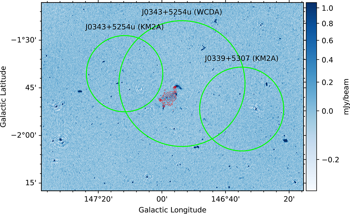 Fig. 2. Refer to the following caption and surrounding text.