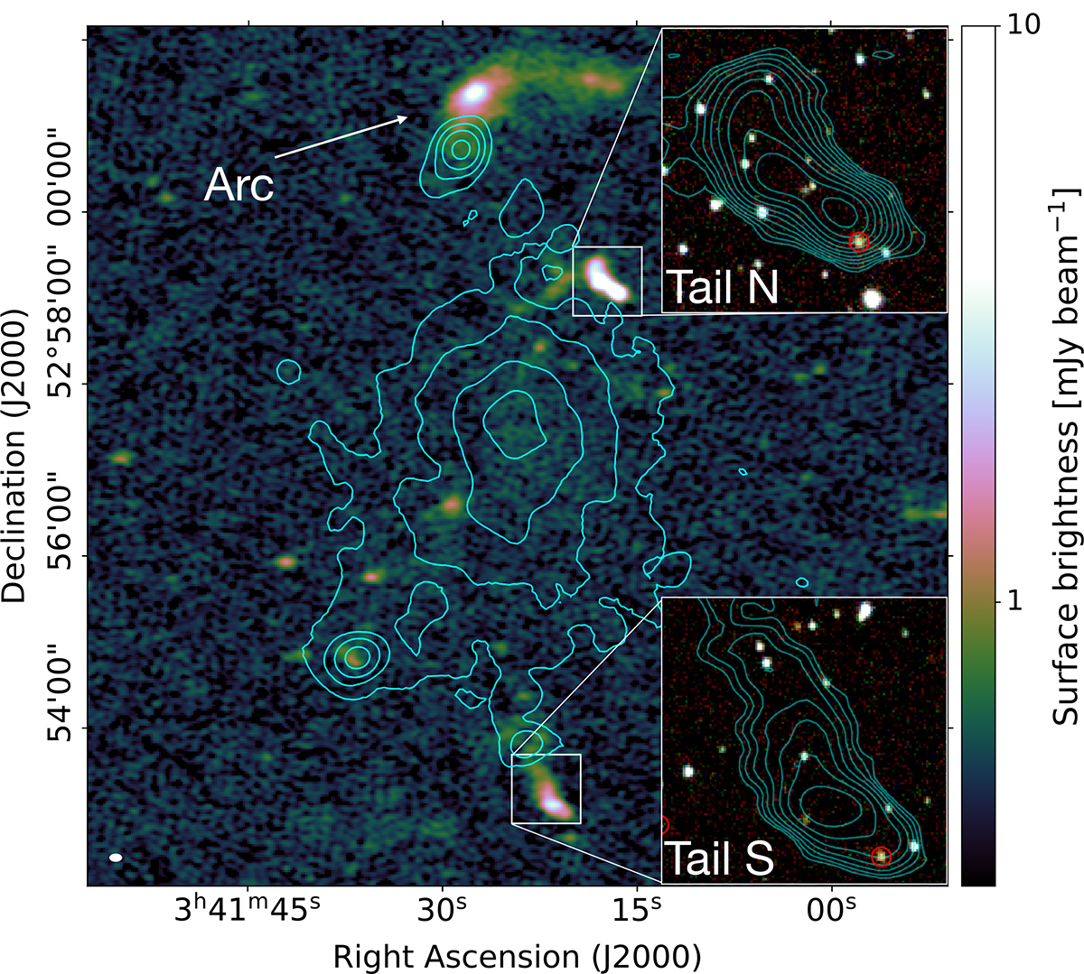 Fig. 3. Refer to the following caption and surrounding text.
