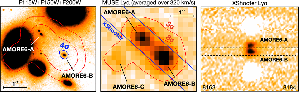 Fig. 1. Refer to the following caption and surrounding text.