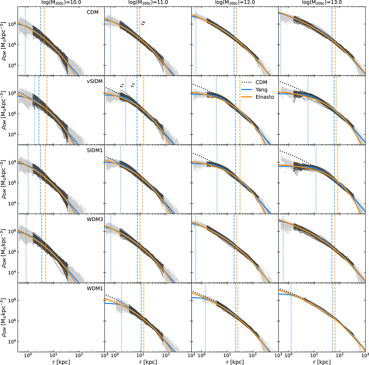 Fig. 3. Refer to the following caption and surrounding text.