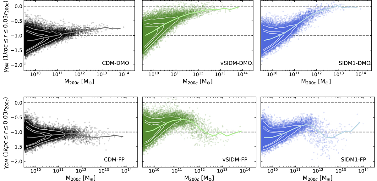 Fig. 5. Refer to the following caption and surrounding text.