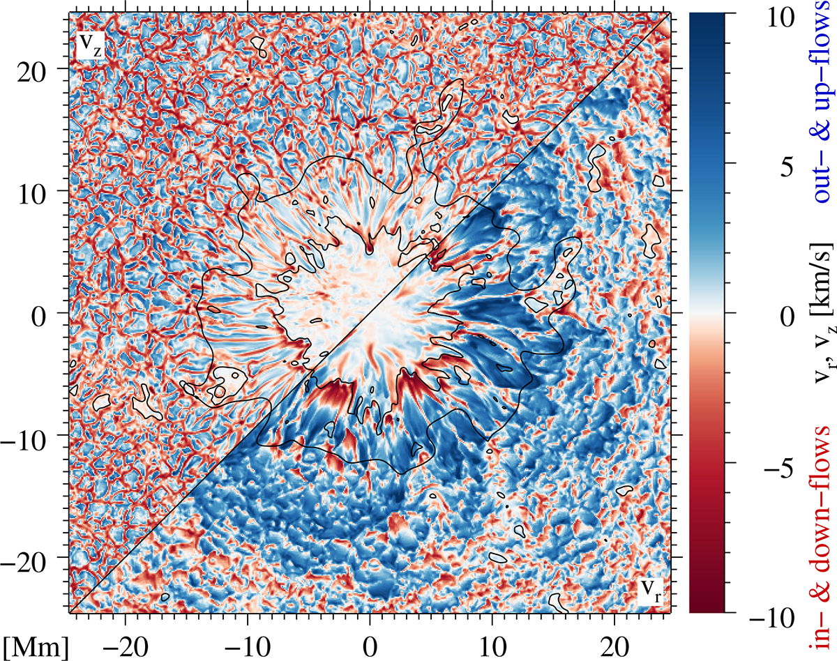 Fig. 5. Refer to the following caption and surrounding text.