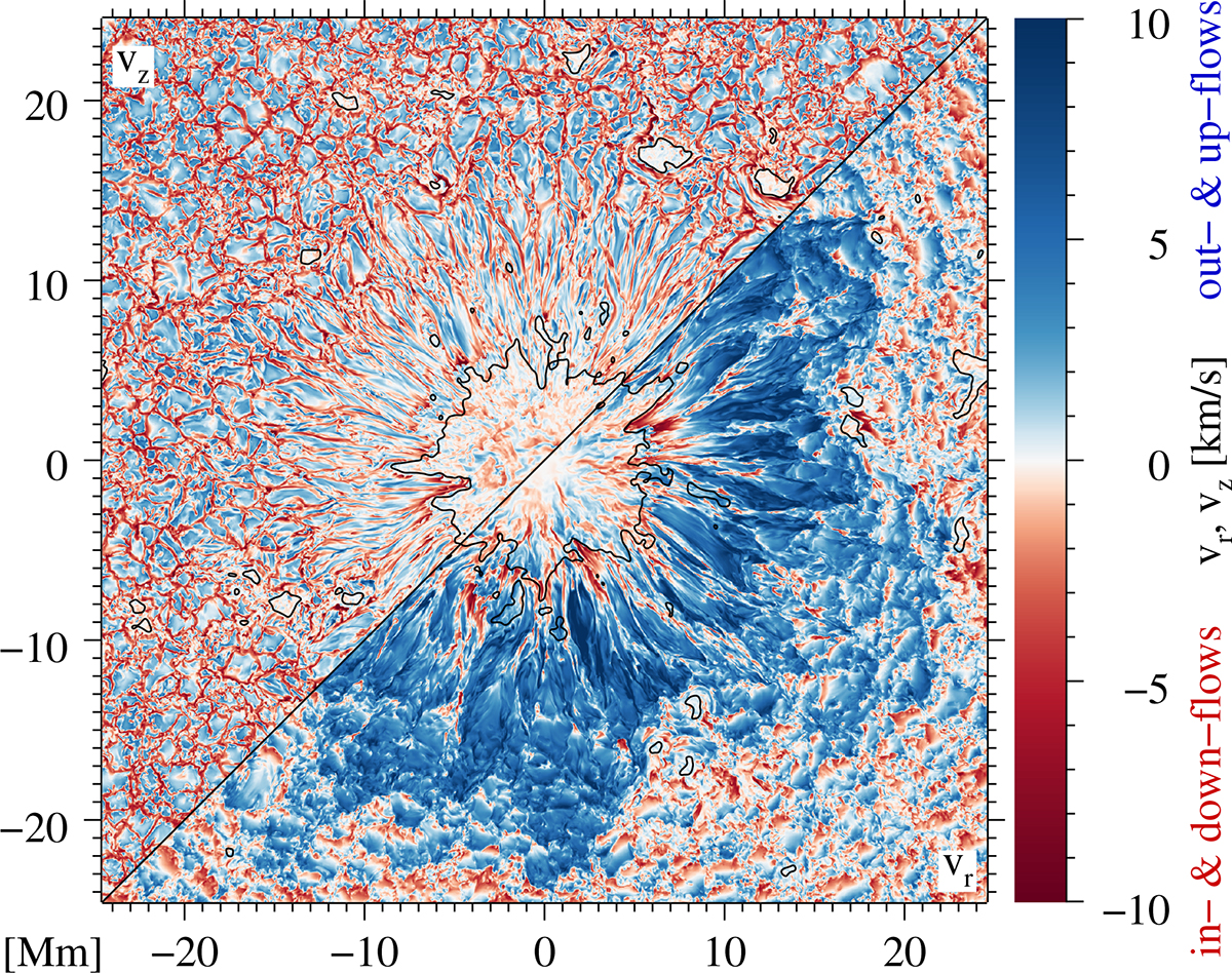Fig. 6. Refer to the following caption and surrounding text.