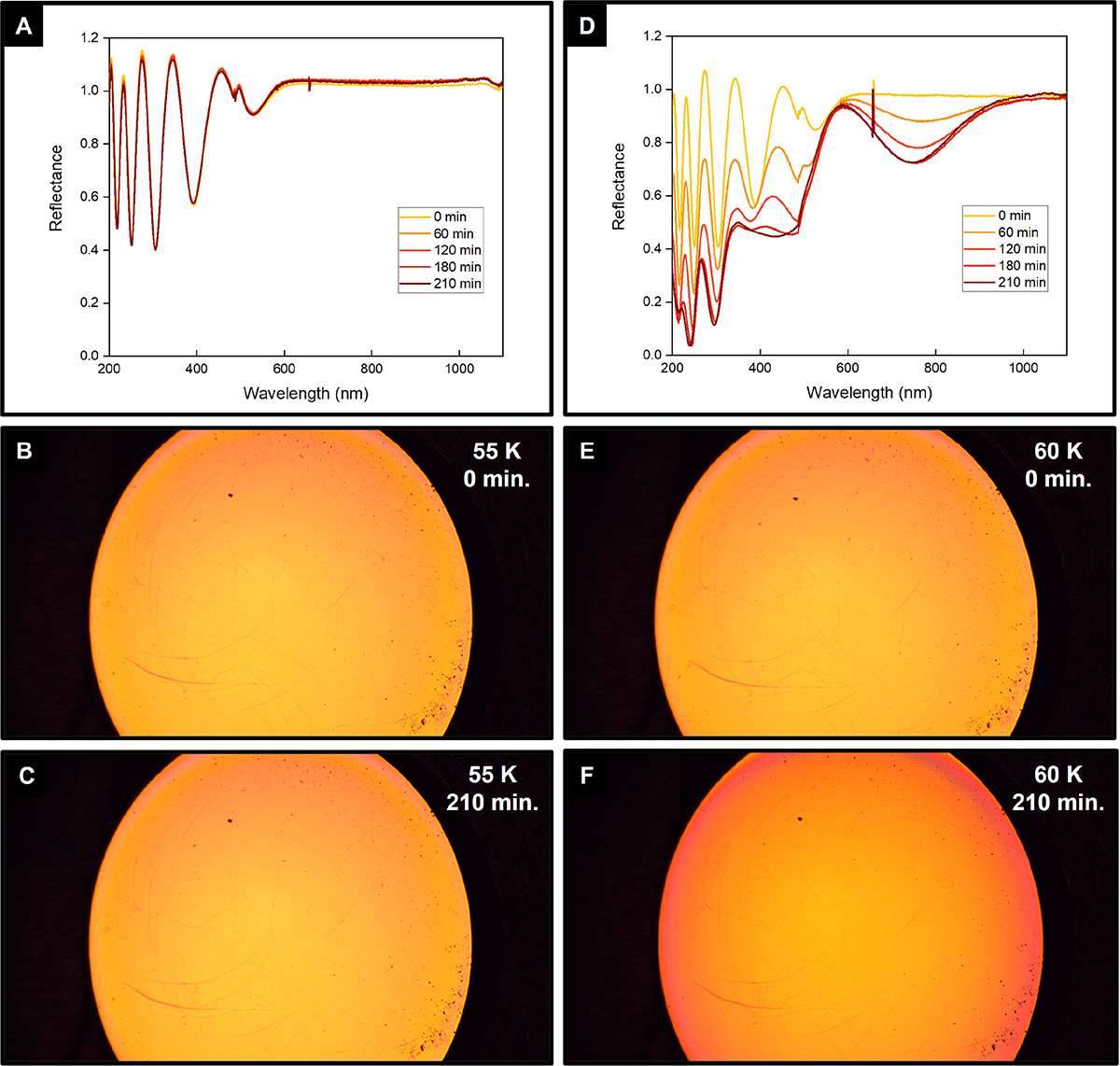 Fig. 1. Refer to the following caption and surrounding text.
