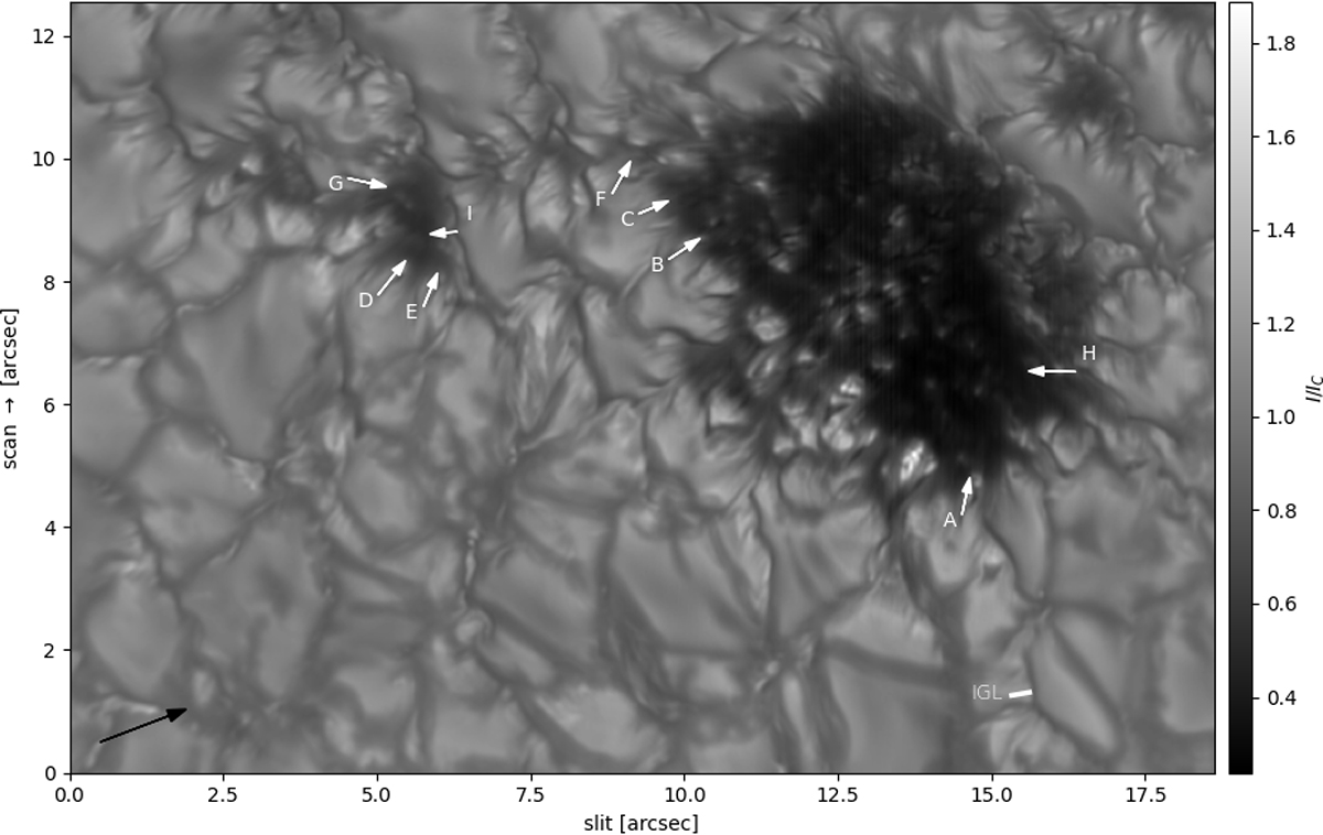 Fig. 1. Refer to the following caption and surrounding text.