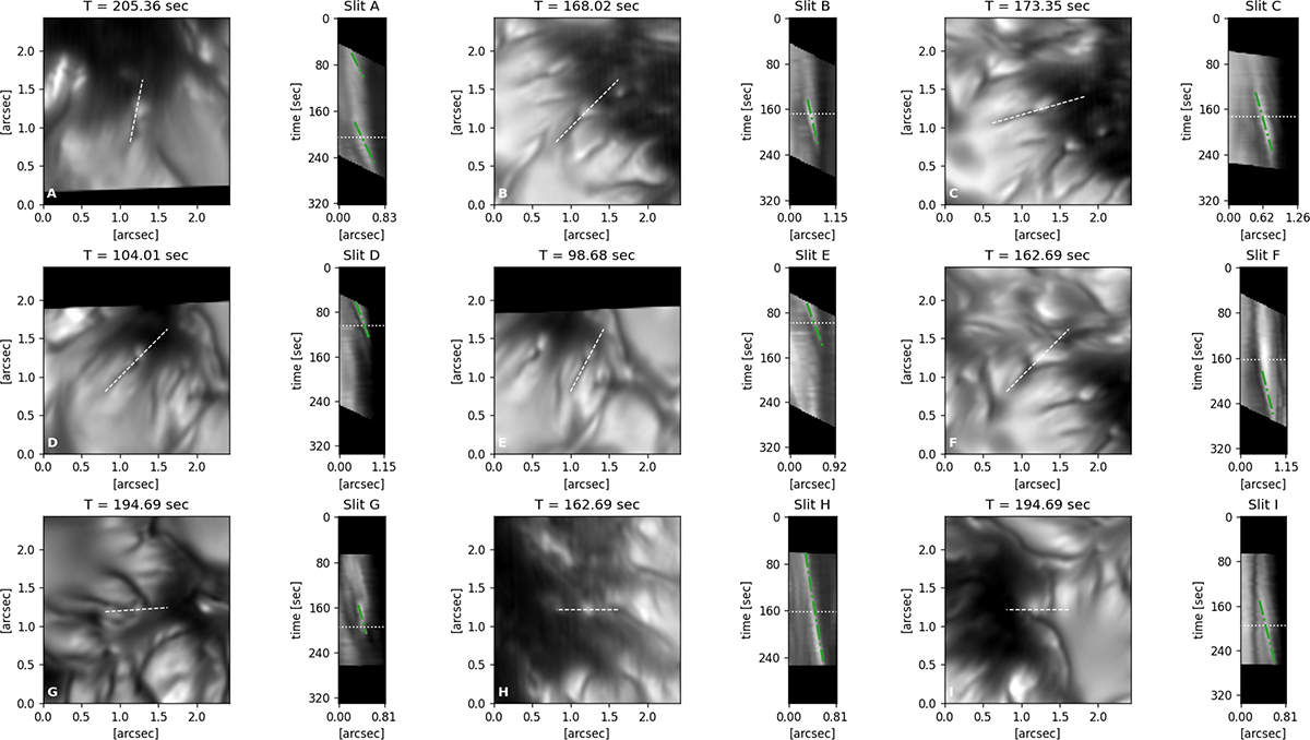 Fig. 2. Refer to the following caption and surrounding text.