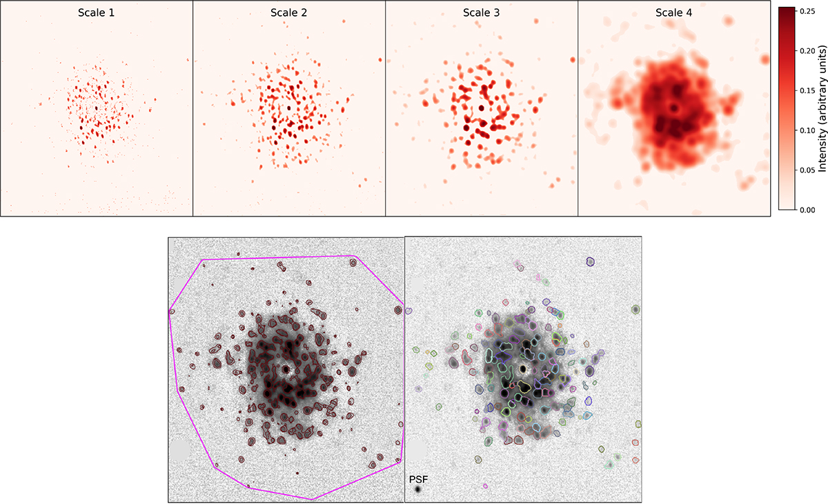 Fig. 2. Refer to the following caption and surrounding text.