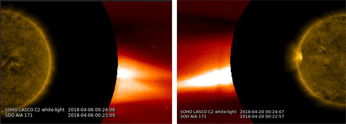 Fig. 2. Refer to the following caption and surrounding text.