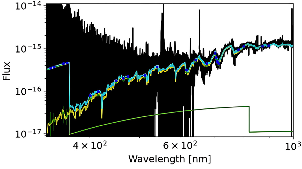 Fig. 2. Refer to the following caption and surrounding text.