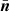 Mathematical equation: $ \bar{\boldsymbol{n}} $