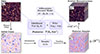 Thumbnail: Fig. 1. Refer to the following caption and surrounding text.