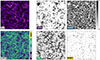 Thumbnail: Fig. 2. Refer to the following caption and surrounding text.