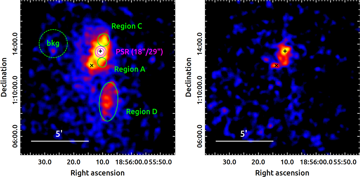 Fig. 3. Refer to the following caption and surrounding text.