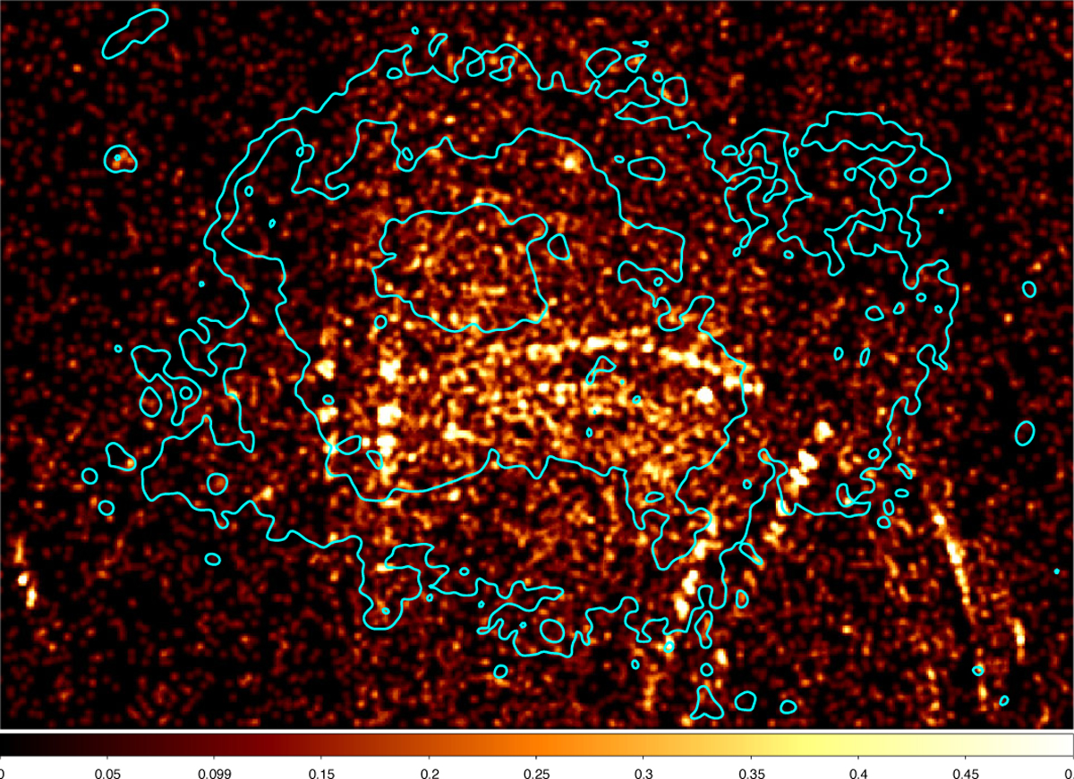 Fig. 4 Refer to the following caption and surrounding text.