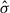 Mathematical equation: $ \hat{\sigma} $