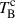 Mathematical equation: $ T_{\mathrm{B}}^{\mathrm{c}} $