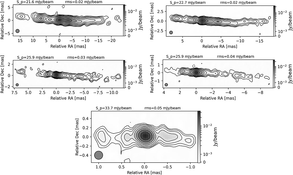Fig. 2. Refer to the following caption and surrounding text.