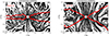 Thumbnail: Fig. 10. Refer to the following caption and surrounding text.