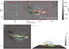 Thumbnail: Fig. 2. Refer to the following caption and surrounding text.