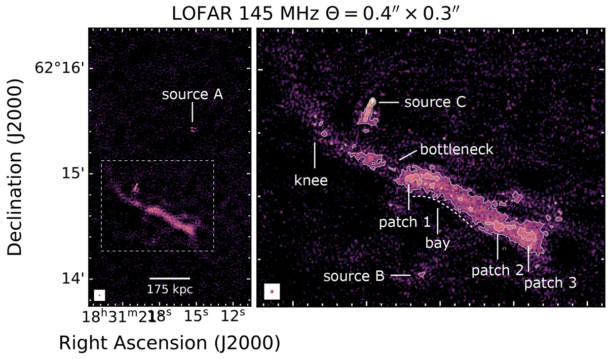 Fig. 2. Refer to the following caption and surrounding text.