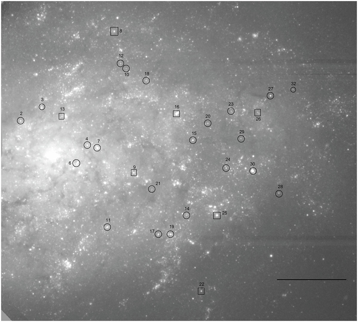 Fig. 1. Refer to the following caption and surrounding text.