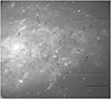 Thumbnail: Fig. 1. Refer to the following caption and surrounding text.
