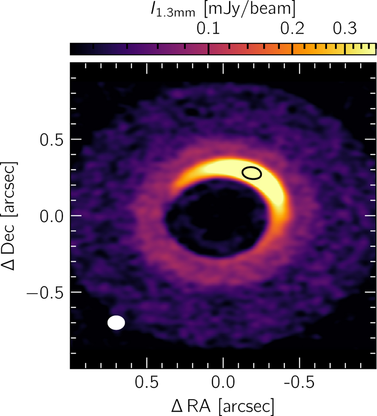 Fig. 5 Refer to the following caption and surrounding text.