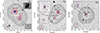 Thumbnail: Fig. 1. Refer to the following caption and surrounding text.