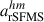 Mathematical equation: $ a_{\mathrm{rSFMS}}^{hm} $