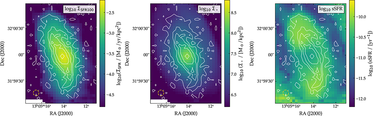 Fig. 4. Refer to the following caption and surrounding text.